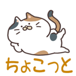 ちょこっと情報サイト